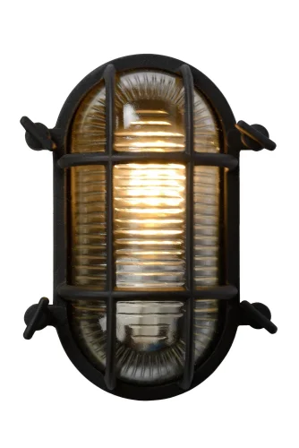 Настенный светильник Dudley 11891/20/30 Lucide уличный IP65 чёрный 1 лампа, плафон белый в стиле винтаж современный E27 фото 3